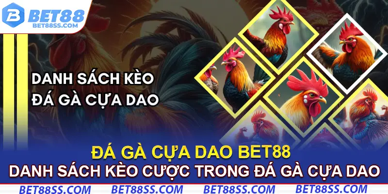 Các cửa cược có tỷ lệ thắng cao và mức thưởng hấp dẫn
